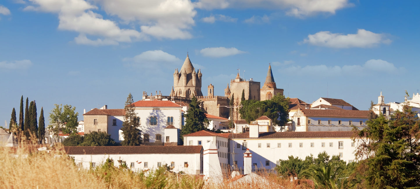 Kathedrale Evora im Alentejo, Portugal. Gotische Architektur und filigrane Details. Blühende Bäume und Sonnenstrahlen. Majestätisch und beeindruckend.