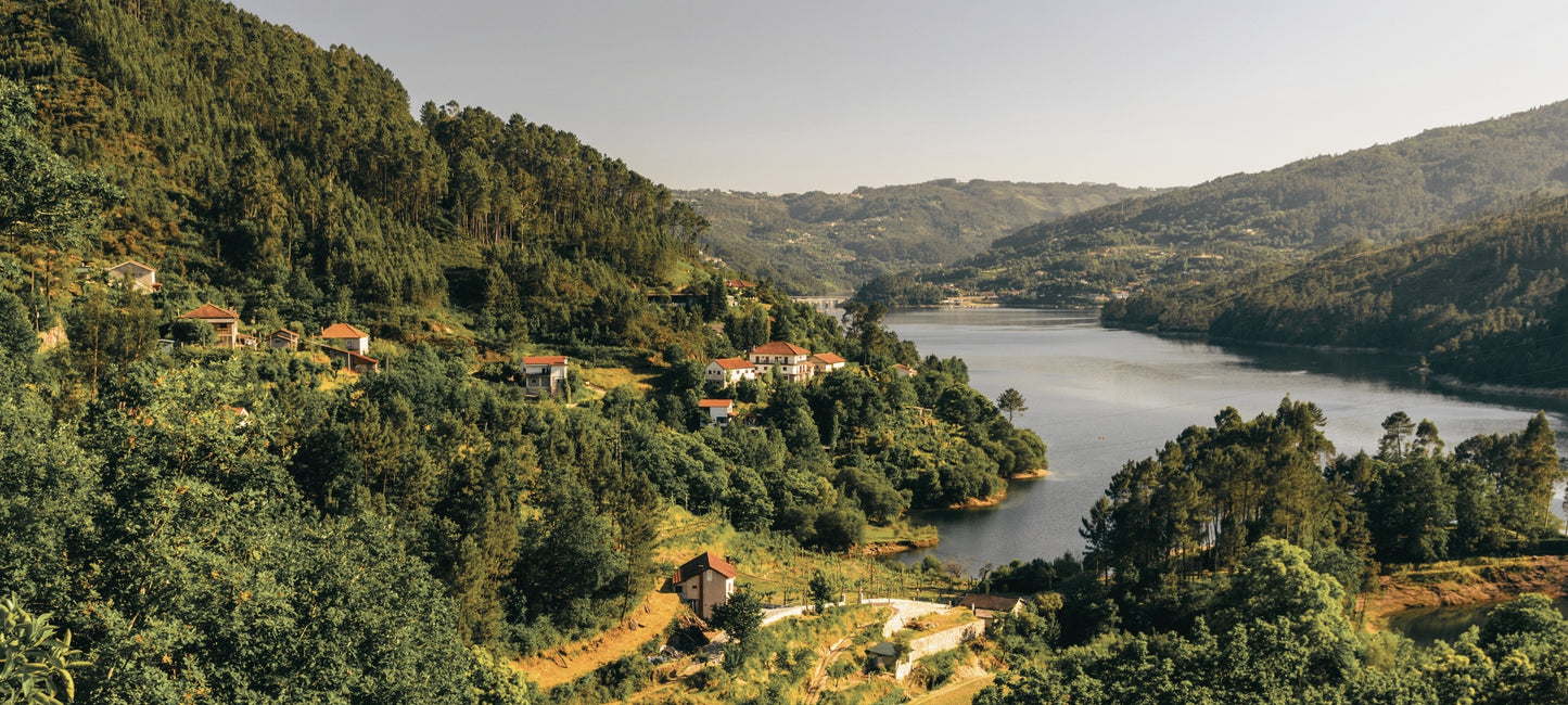 Foto mit Blick auf Weinberge der Region Minho. Man sieht grüne Landschaft und im Tal den Rio Minho.