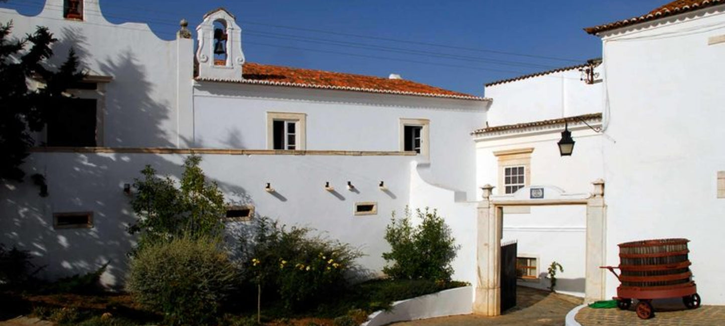 Das beeindruckende weiße Gebäude der Quinta do Mouro, umgeben von üppigem Grün und majestätischen Bäumen. Ein idyllischer Ort, an dem Weinliebhaber die Schönheit der Natur und die köstlichen Weine der Quinta do Mouro genießen können.