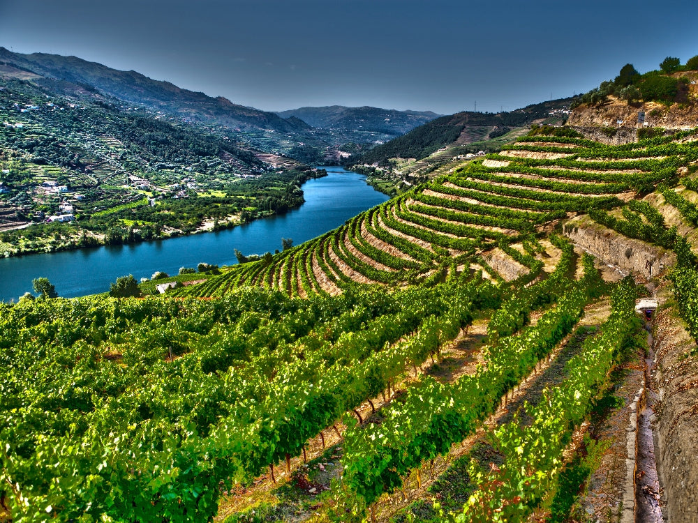 Portweinregion am Douro, Blick auf den Fluss und die Weinberge.