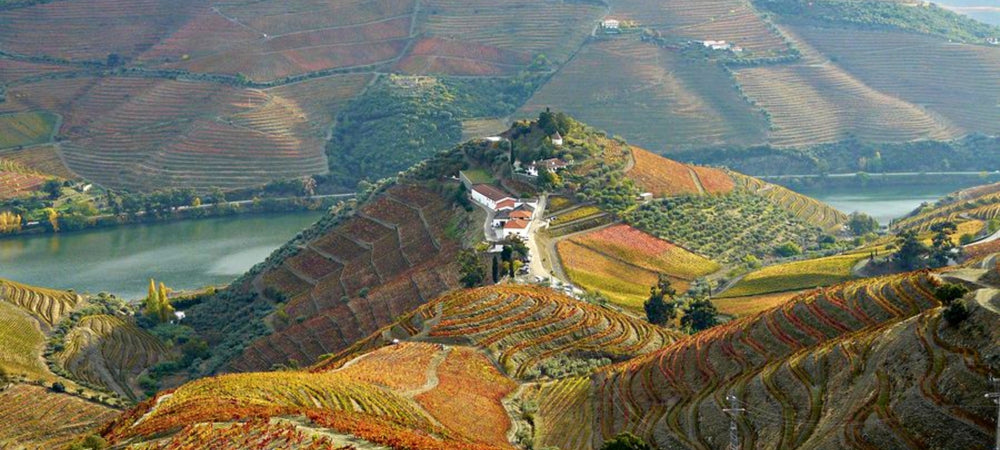 Blick auf die Quinta do Crasto am Douro in Portugal. Blick von oben auf das Weingut, umgeben von Weinbergen.
