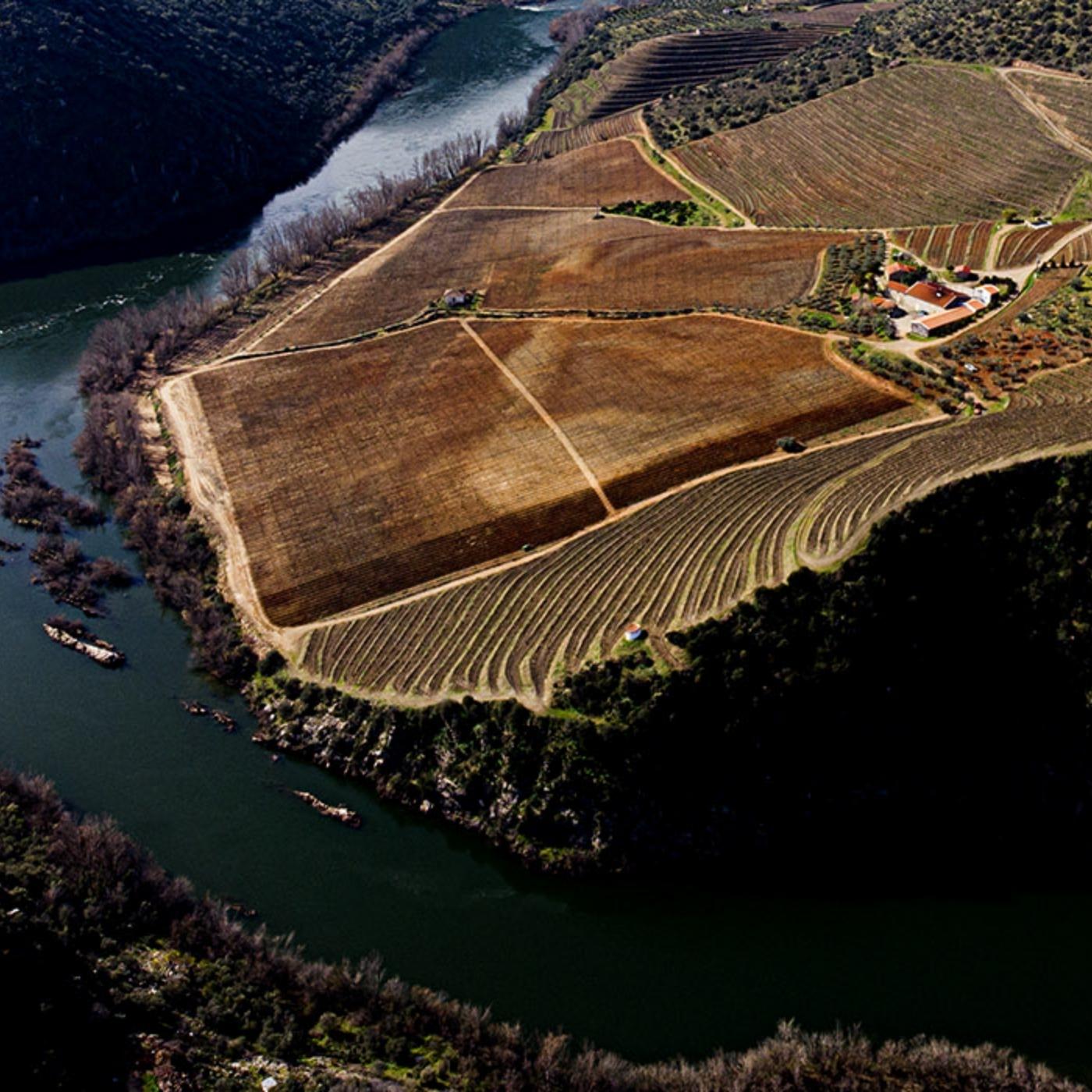 Blick von oben auf die Quinta dos Quinta dos Castelares in der oberen Douro-Region.