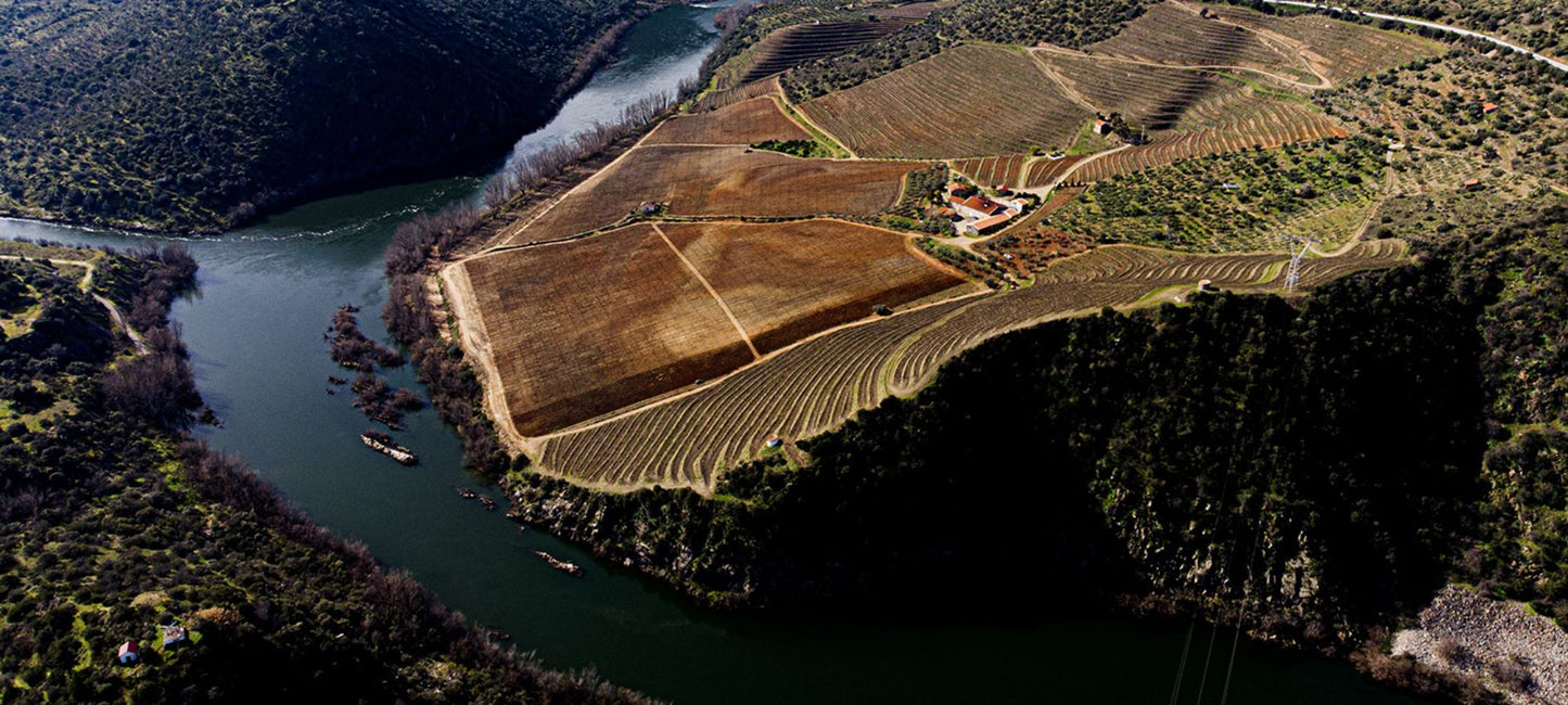 Blick von oben auf die Quinta dos Quinta dos Castelares in der oberen Douro-Region.