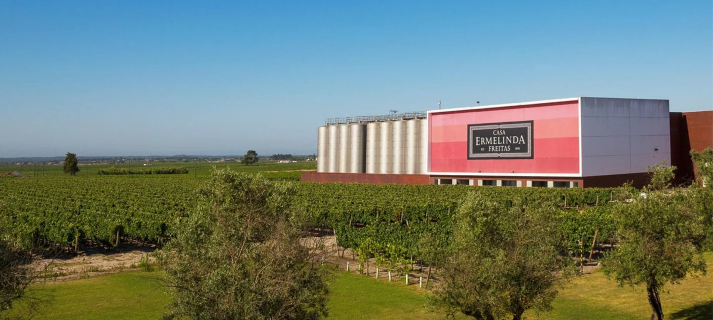 Charmantes Landhaus umgeben von Weinbergen und Hügeln. Traditionelle Architektur mit rustikalem Charme. Warme Atmosphäre, Natur und Landleben harmonisch vereint. Casa Ermelinda Freitas Weingut.