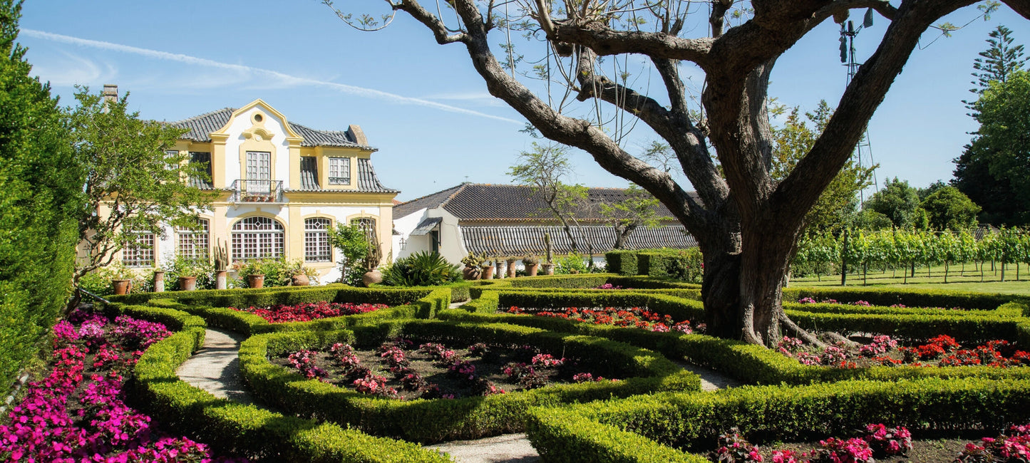 Historisches Weingut José Maria da Fonseca in Vila Nogueira de Azeitão, Portugal, mit gepflegtem Garten, alten Bäumen und Weinbergen im Hintergrund