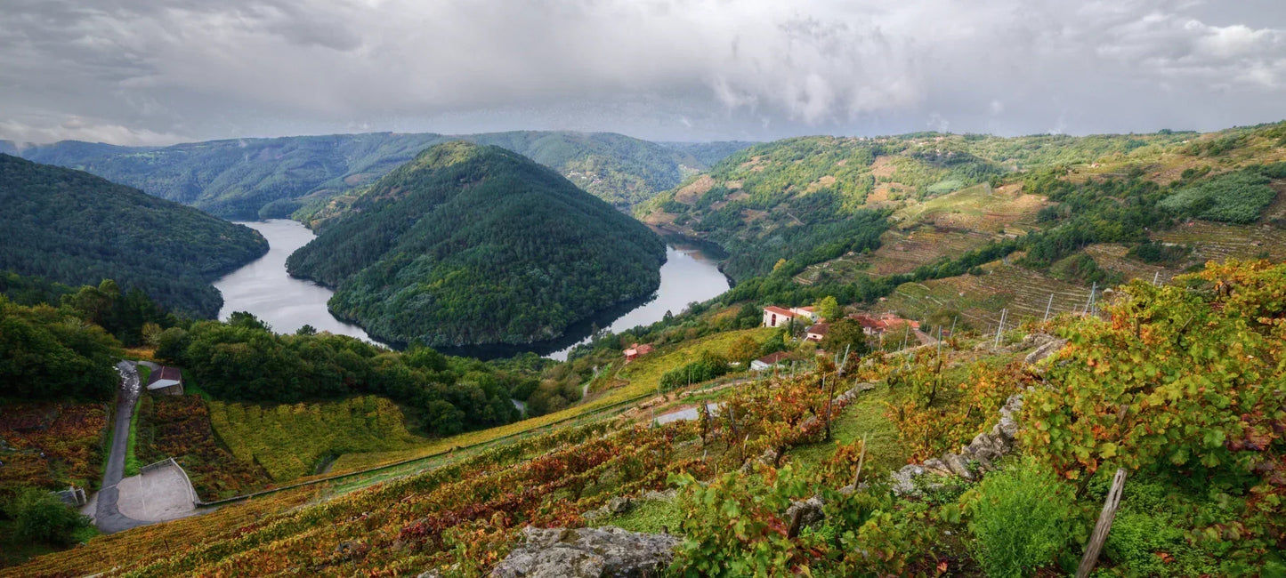 Weintourismus Teil 5: Melgaço im Minho. Wo Wölfe heulen und Trauben für Grünen Wein wachsen