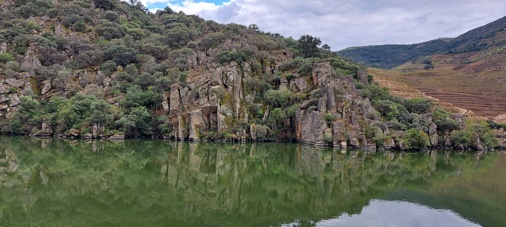 Das Foto zeigt eine Felsenlandschaft am Douro-Fluss in Portugal. Die Felsen sind steil und ragen hoch über den Fluss hinaus. Der Fluss fließt durch eine tiefe Schlucht und ist von grünen Weinbergen umgeben.