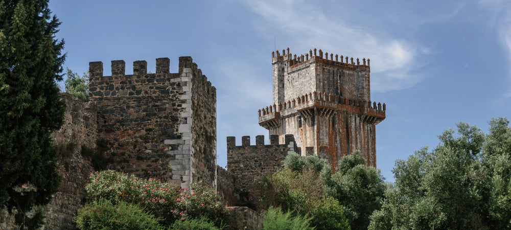 Bild des imposanten Castle in Beja, Portugal, umgeben von grünen Bäumen und einem strahlend blauen Himmel. Eine malerische Kulisse für Weinliebhaber und ein Symbol der reichen Geschichte und Tradition der Region.