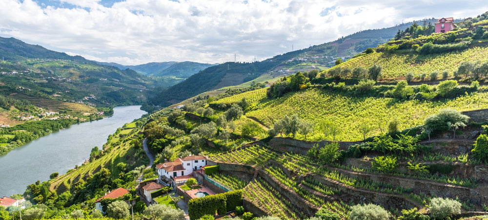 Weinberge am Douro, idyllische Landschaft
