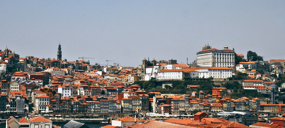 Eine malerische Stadtlandschaft von Porto, Portugal, zeigt Häuser mit roten Dächern, die sich entlang des Ufers des Douro erstrecken. Die Szene strahlt eine einladende Atmosphäre aus und zeigt den Charme dieser fesselnden Stadt am Fluss.