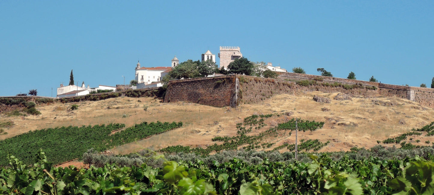 Weinberge im Alentejo mit Burglandschaft – typische Weinregion Portugals