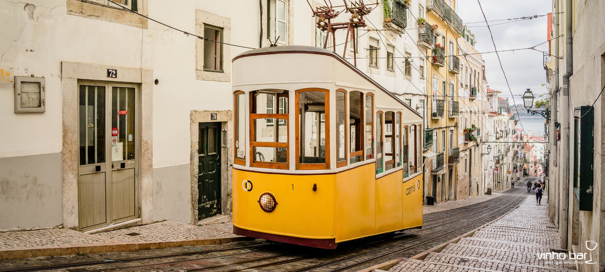Von Lissabon in die Weinfelder