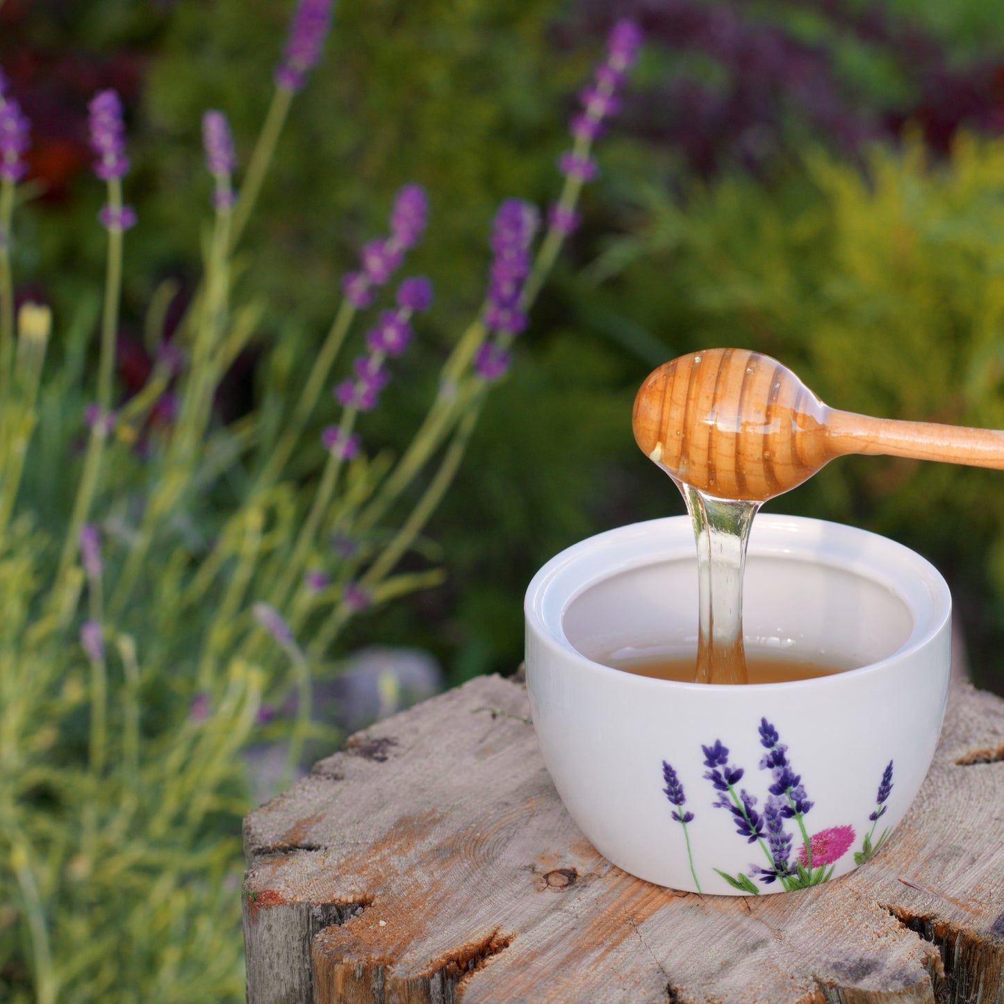 
                  
                    Glas Lavendelhonig 300 g von Miel Castiza – spanischer Honig mit floraler Lavendelnote, hell-bernsteinfarben, ideal für Feinschmecker und Gourmetküche.
                  
                