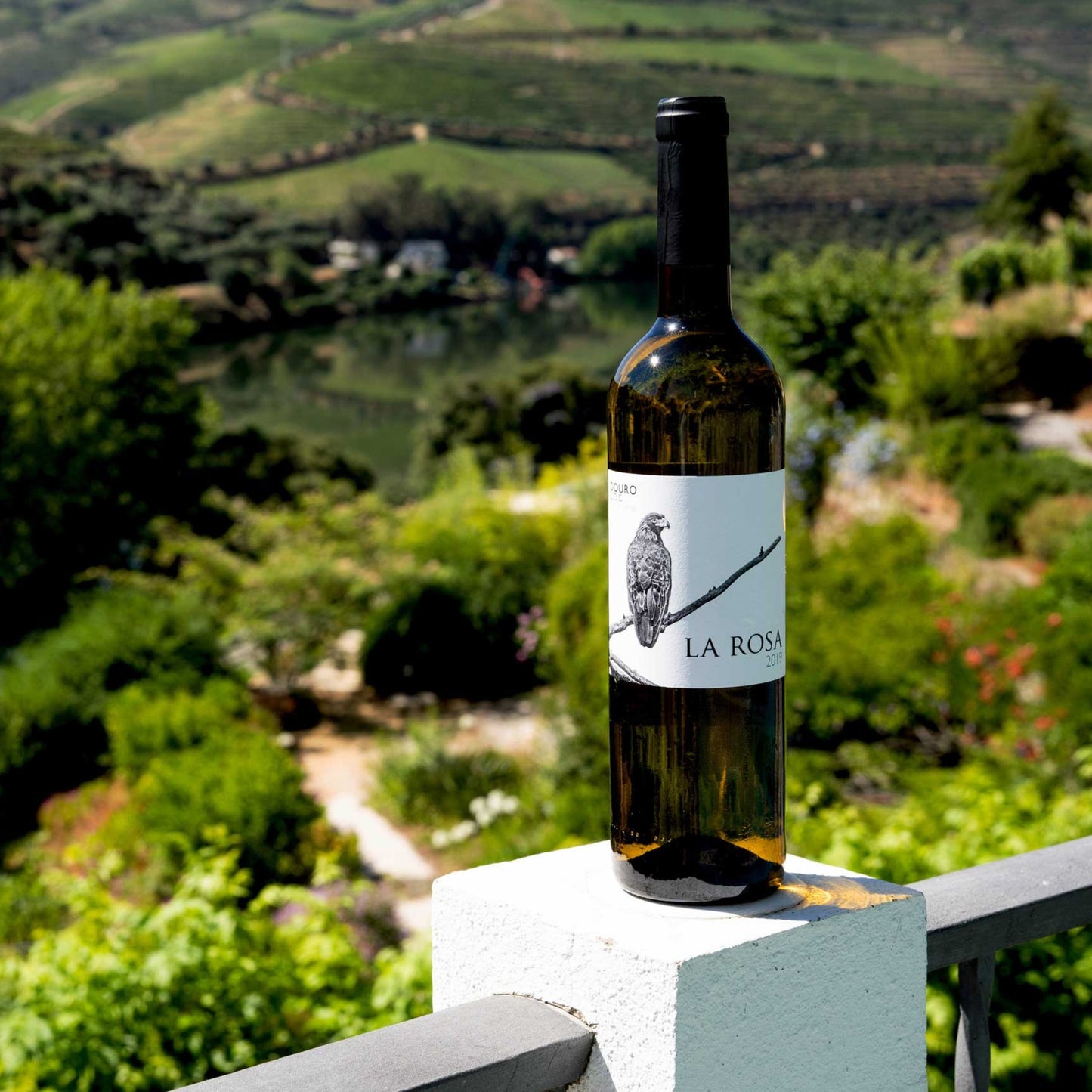 Flasche Weißwein vom Weingut Quinta de la Rosa, einem Weingut in Portugal. Flasche steht auf einem weißen Betonpfeiler eines Balkons. Im Hintergrund ist die Douro Landschaft zu sehen.