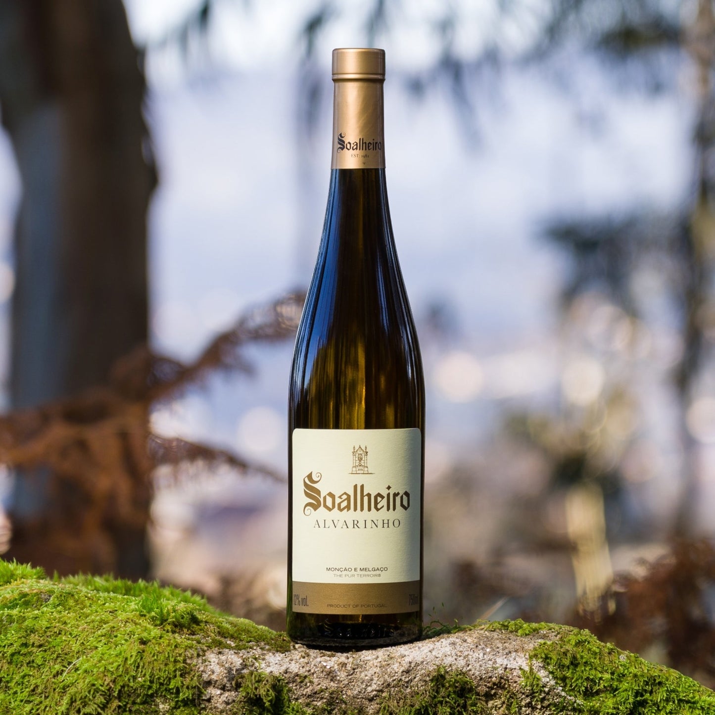 
                  
                    Alvarinho Classic, ein Weißwein vom Weingut Quinta da Soalheiro aus der Region Vinho Verde, Mino, Lima Tal, in Portugal. Bild mit Weinflasche in der Natur, auf einem Stein mit Moos im Wald.
                  
                