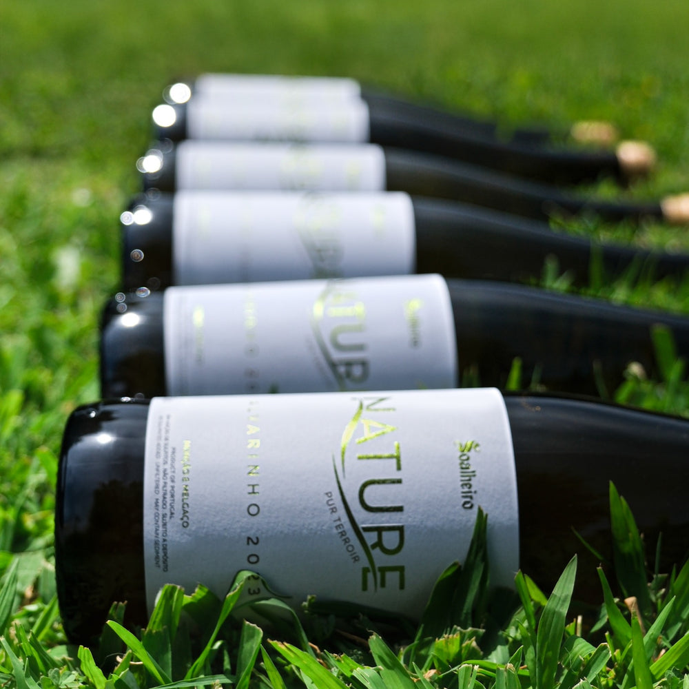 
                  
                    Fünf Weinflaschen des Soalheiro Nature Alvarinho liegen schräg in frischem, grünem Gras. Die Flaschen sind dunkelgrün und zeigen das weiße Etikett mit dem Schriftzug 'NATURE' in grünen Buchstaben und 'ALVARINHO 2023'. Die vorderste Flasche ist scharf fokussiert, während die anderen im Hintergrund unscharf werden, was eine natürliche und entspannte Atmosphäre schafft. Sonnenlicht fällt auf die Szene, die Korken sind an den Enden der Flaschen sichtbar.
                  
                