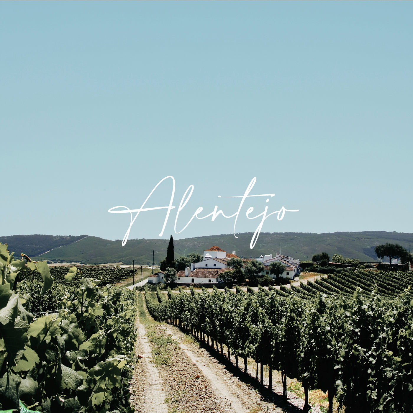 Bild mit Weinbergen und einem Weingut aus der Region Alentejo in Portugal.