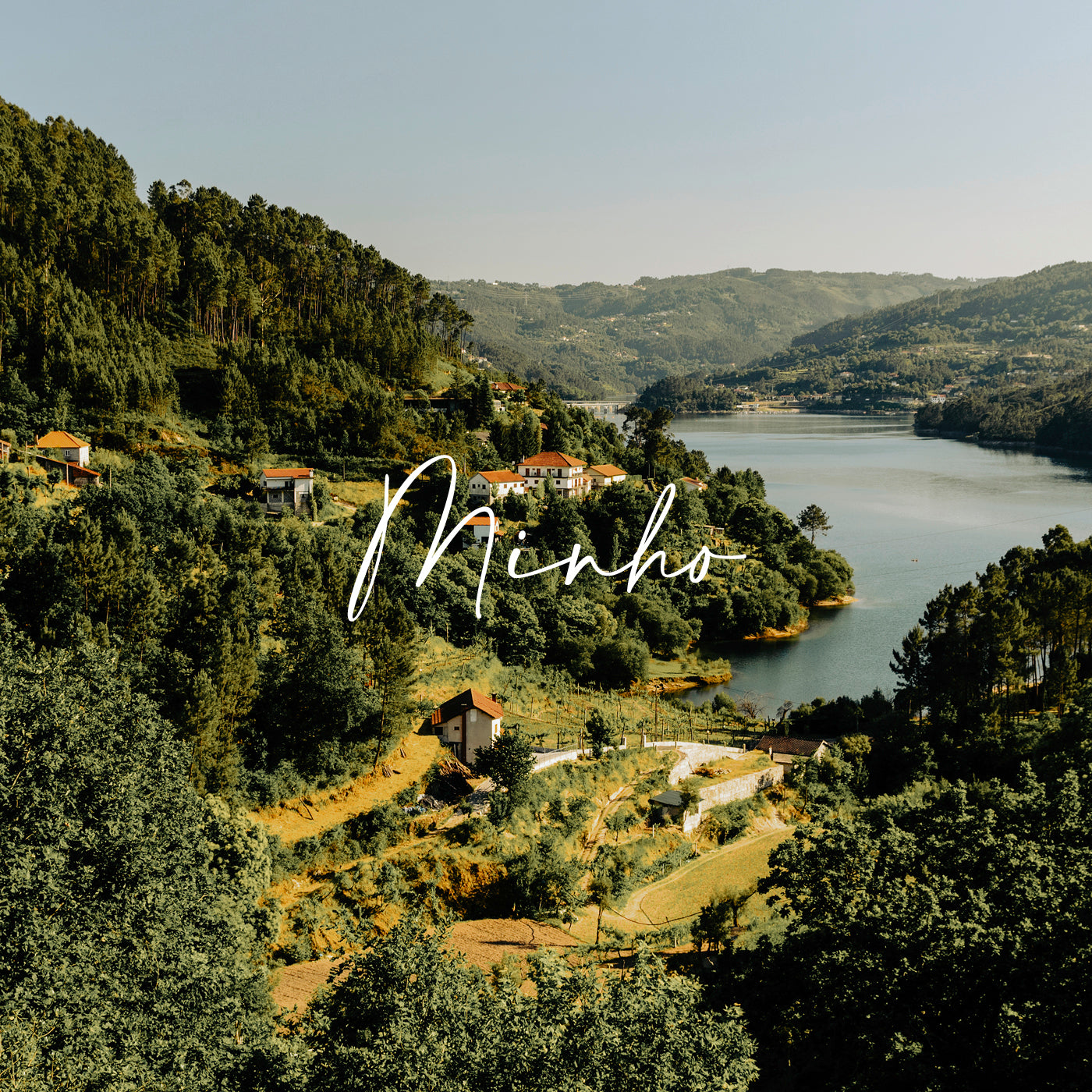 Foto mit Blick auf Weinberge der Region Minho. Man sieht grüne Landschaft und im Tal den Rio Minho.
