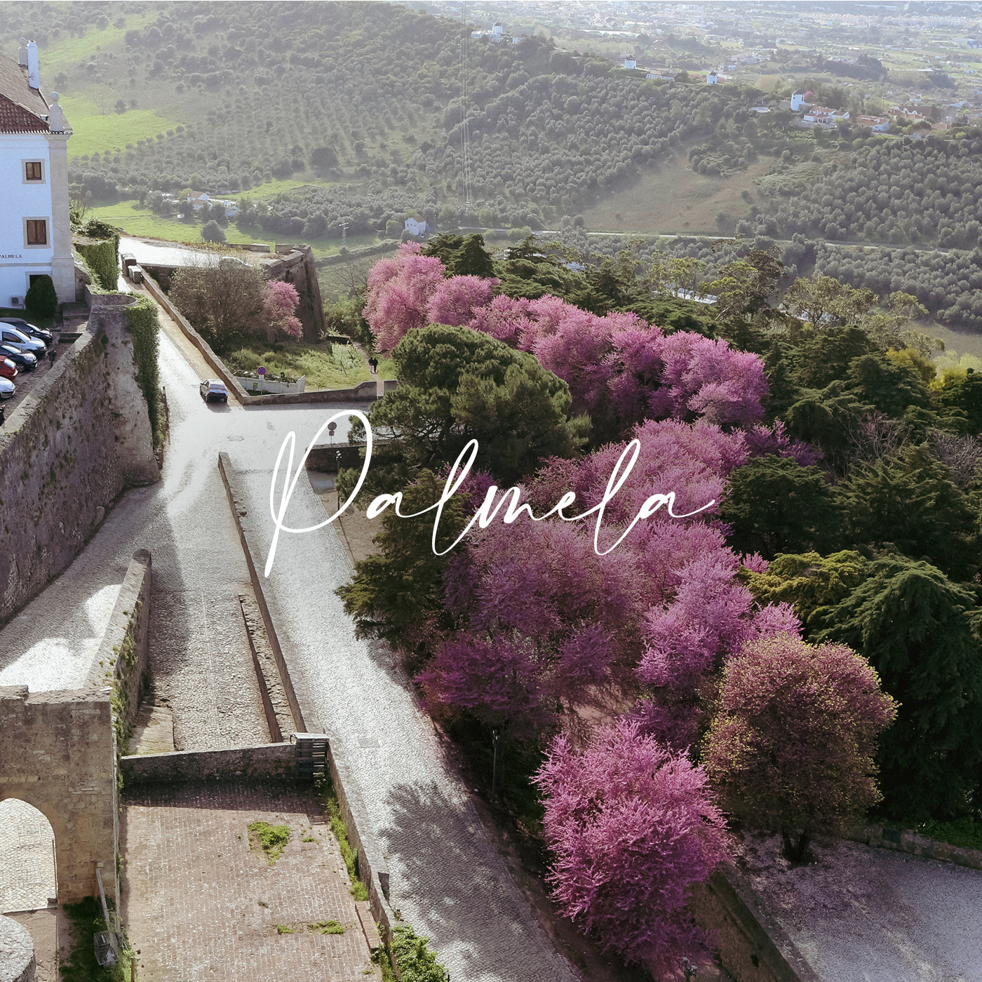 Blick auf die Burganlage der Stadt Palmela / Portugal. 