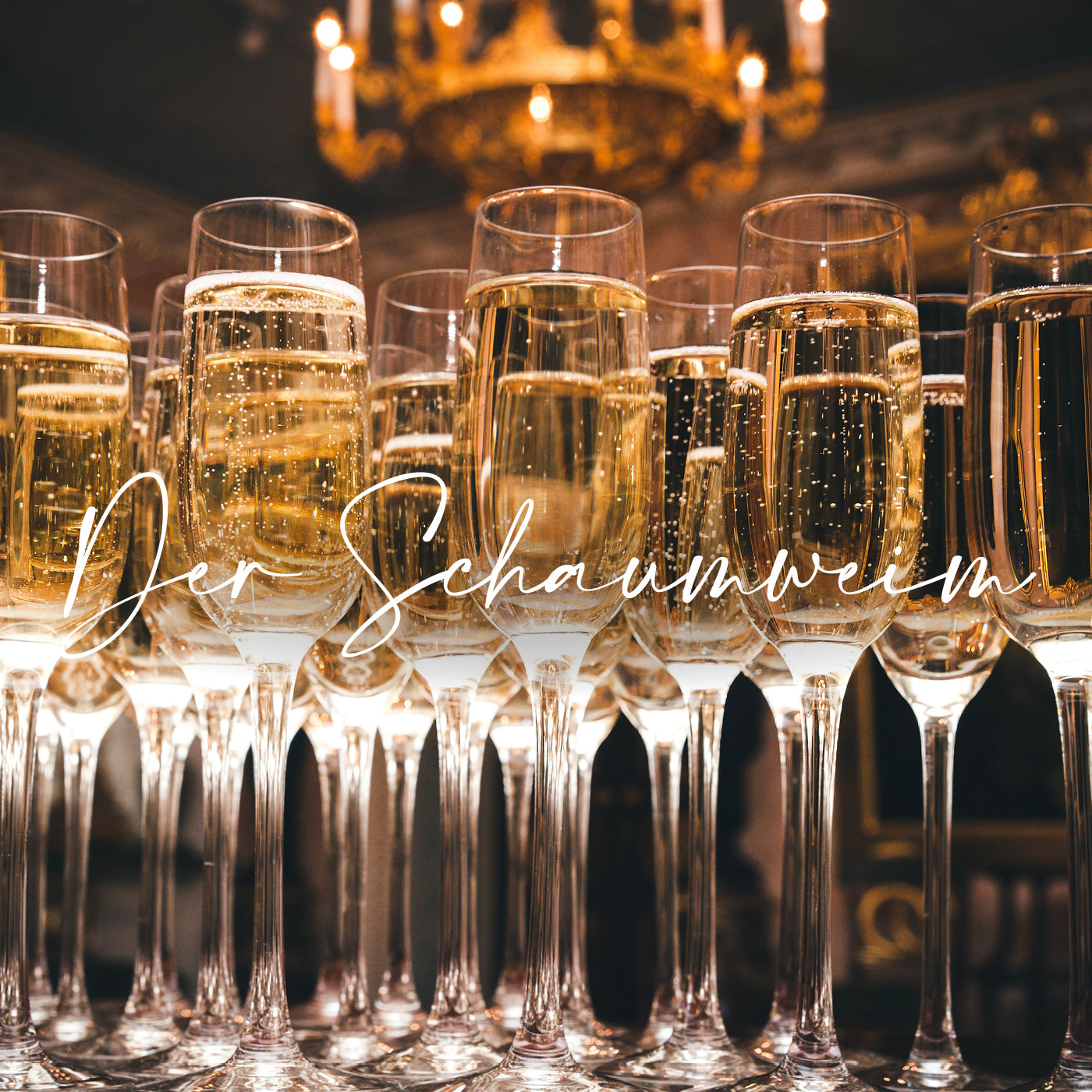 Schaumweine, Sekt von der Vinho Bar in Wuppertal. Bild mit vielen gefüllten Gläsern Schaumwein auf einem Tisch stehend.