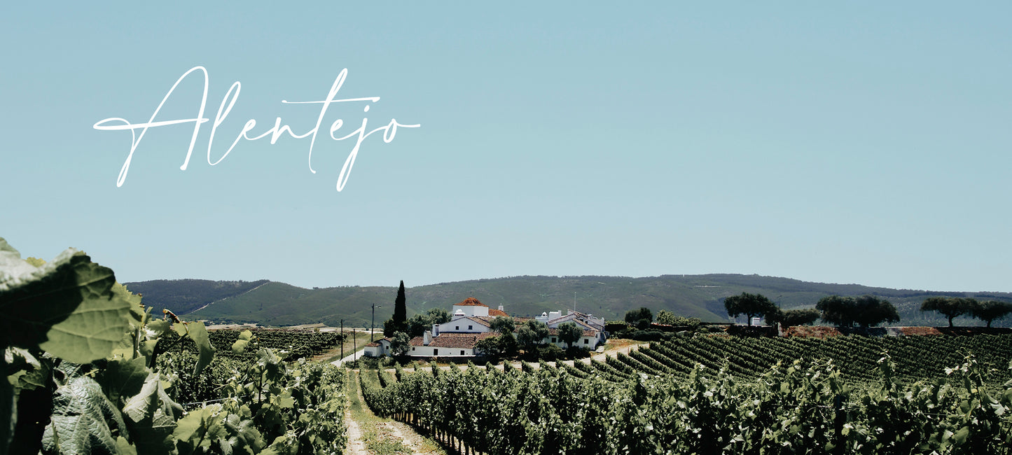 Bild mit Weinbergen und einem Weingut aus der Region Alentejo in Portugal.