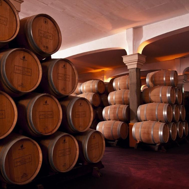 Blick in den Weinkeller vom Weingut Casa Ermelinde Freitas. Im Raum stehen aufeinander liegende Weinfässer.