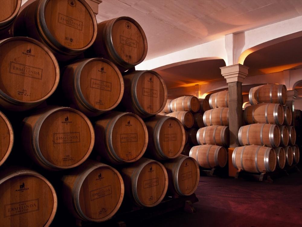 Blick in den Weinkeller vom Weingut Casa Ermelinde Freitas. Im Raum stehen aufeinander liegende Weinfässer.
