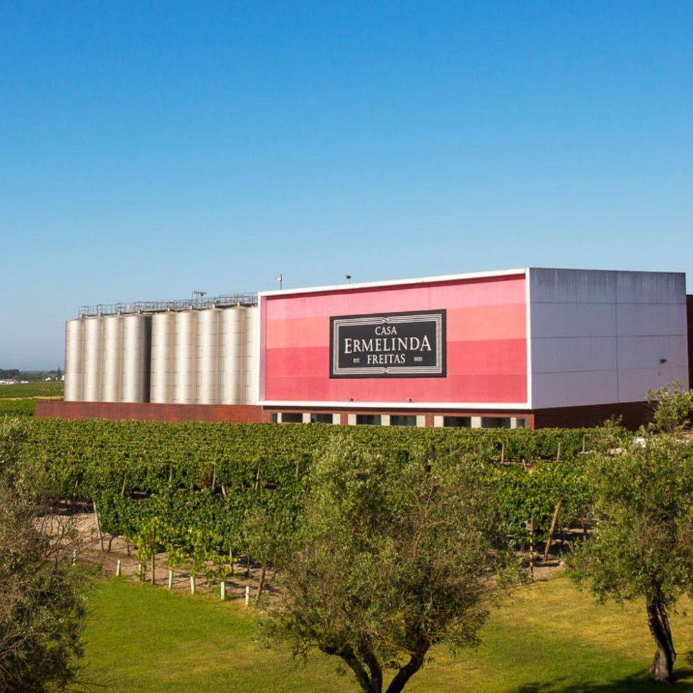 Auf dem Foto sieht man das Weingut Casa Ermelinda Freitas aus Portugal inmitten einer grünen Landschaft mit Wiese, Weinreben und Bäumen. Das Gebäude ist weiß mit roter Fläche vorne und großem Logo des Weingutes. Daneben sind Tankbehälter für den Wein.