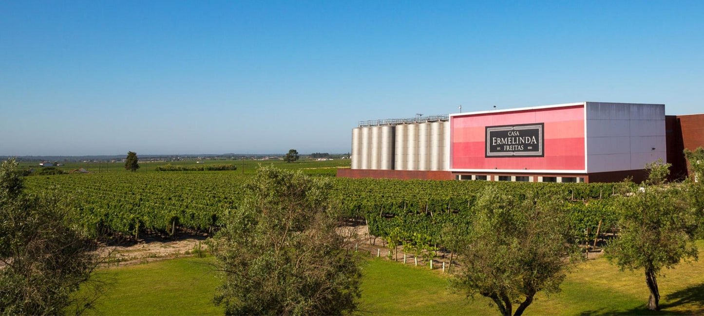 Auf dem Foto sieht man das Weingut Casa Ermelinda Freitas aus Portugal inmitten einer grünen Landschaft mit Wiese, Weinreben und Bäumen. Das Gebäude ist weiß mit roter Fläche vorne und großem Logo des Weingutes. Daneben sind Tankbehälter für den Wein.