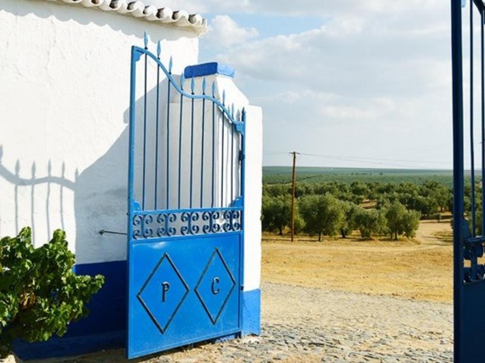 Bild vom Eingangsbereich des Weingutes Herdade Paço do Conde in Portugal. Weißes Gebäude mit einem blauen Tor.
