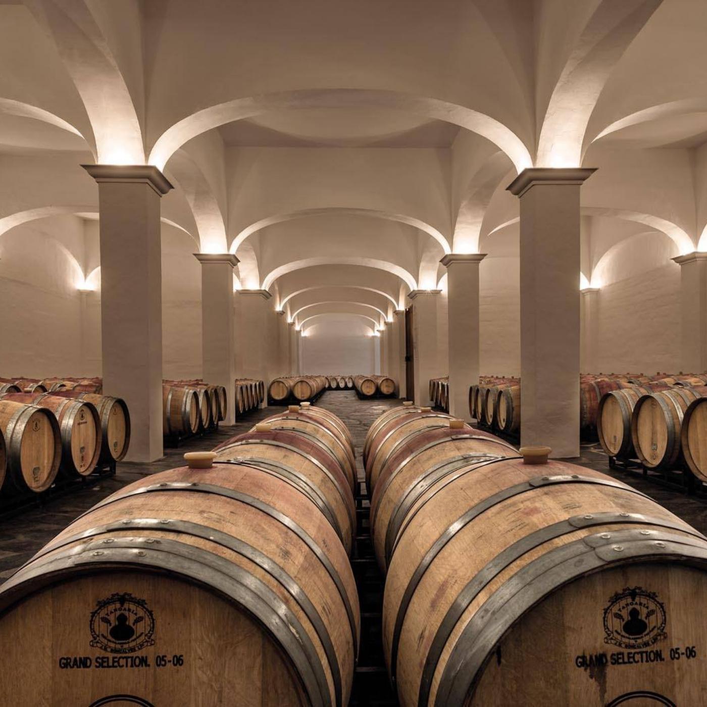 Blick in den Weinkeller vom Weingut Herdade das Servas in Portugal. Blick auf liegende Weinfässer aus Holz.