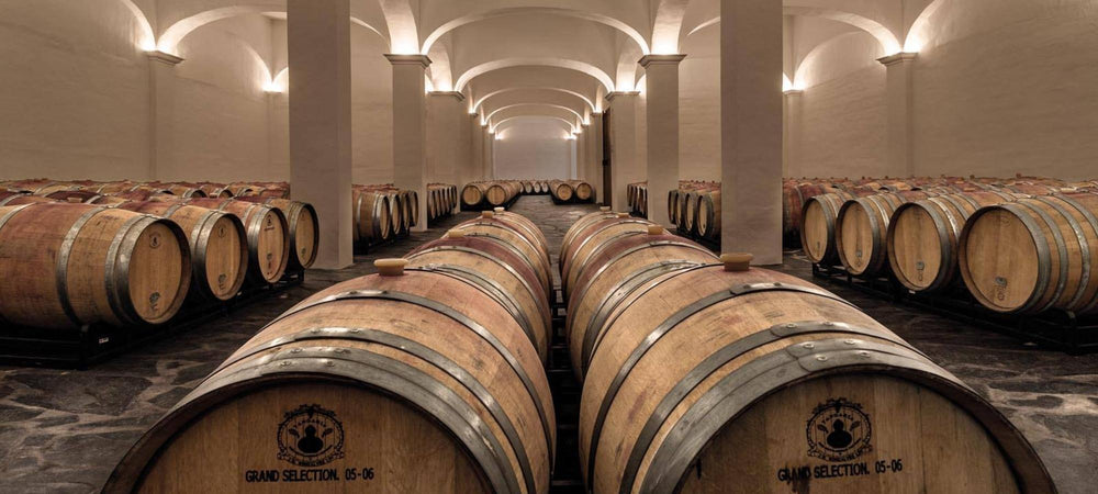 Blick in den Weinkeller vom Weingut Herdade das Servas in Portugal. Blick auf liegende Weinfässer aus Holz.