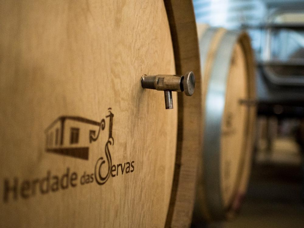 Blick in den Weinkeller von Herdade das Servas. Weinfässer aus Holz mit Logo des Weingutes.