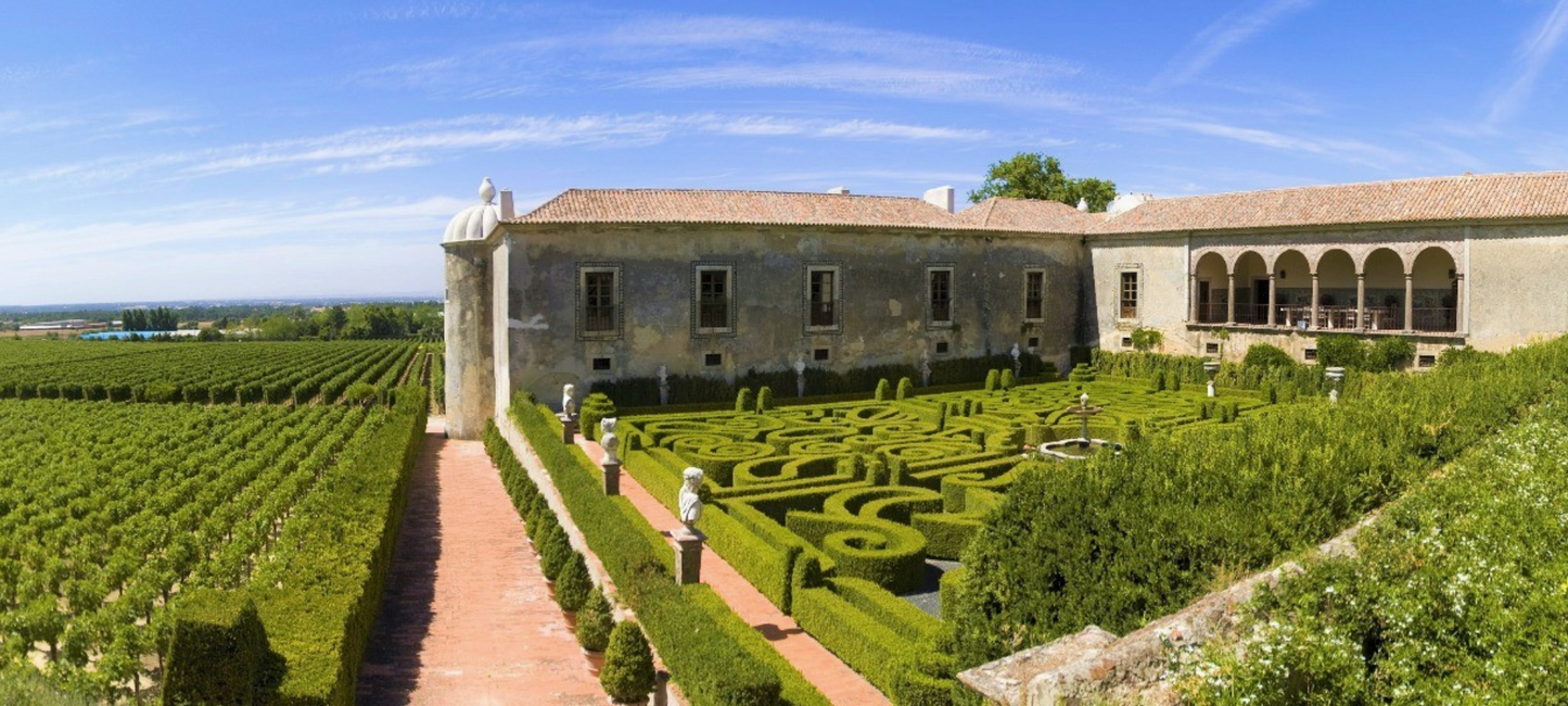 Blick auf das Weingut QUINTA DA BACALHÔA, altes Gebäude mit Weinberg.