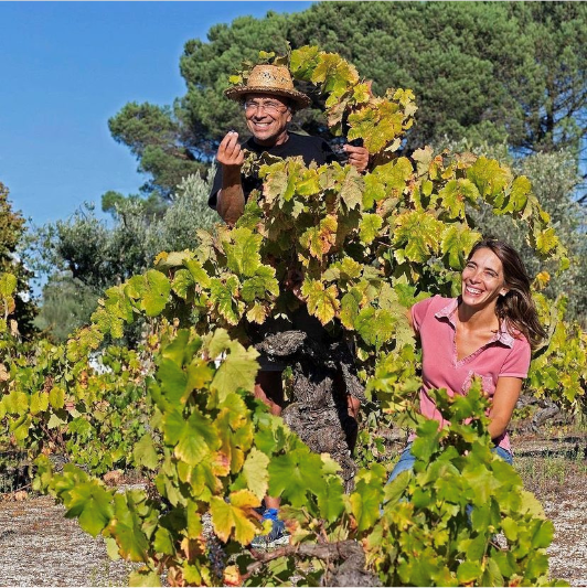 Bild von der Quinta de Saes, Zwei Menschen inmitten von Weinreben.