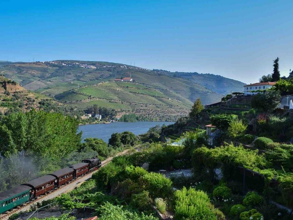 Bild vom Weingut Quinta de la Rosa mit Blick auf die Weinberge und den Douro in Portugal. Im Vordergrund ist eine Dampfbahn zu sehen.