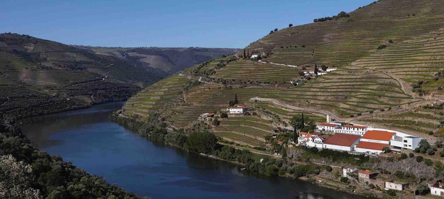 Blick auf das Weingut und die Weinberge entlang des Douro von Quinta De La Rosa aus Portugal.