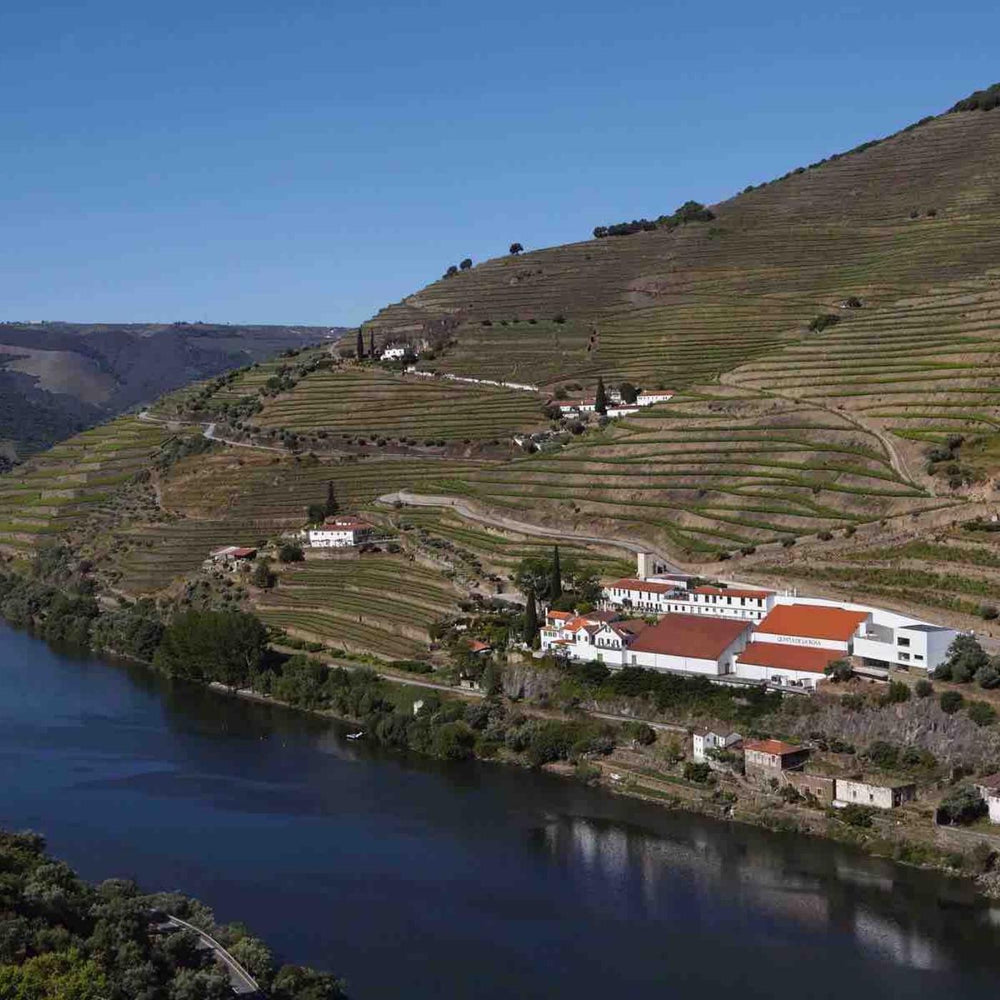 Blick auf das Weingut und die Weinberge entlang des Douro von Quinta De La Rosa aus Portugal.