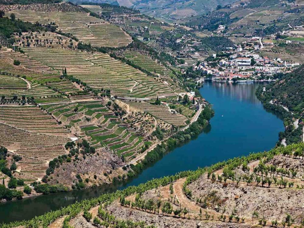Bild vom Weingut Quinta de la Rosa mit Blick auf die Weinberge und den Douro in Portugal.