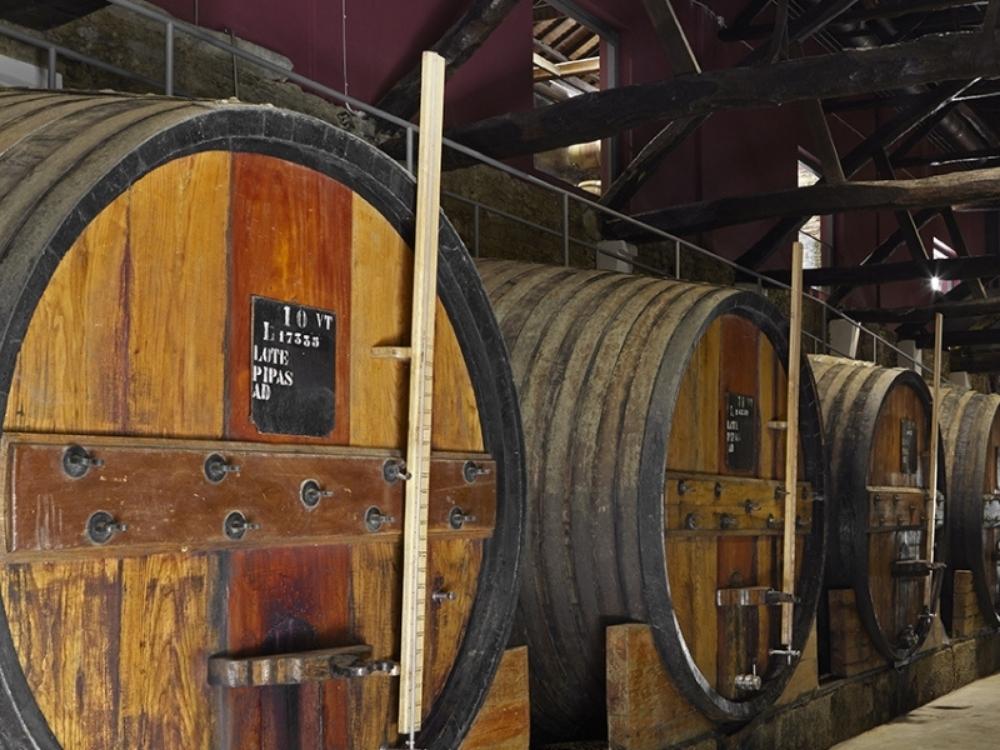 Blick in den Weinkeller vom Weingut Quinta de la Rosa, Blick auf Weinfässer.