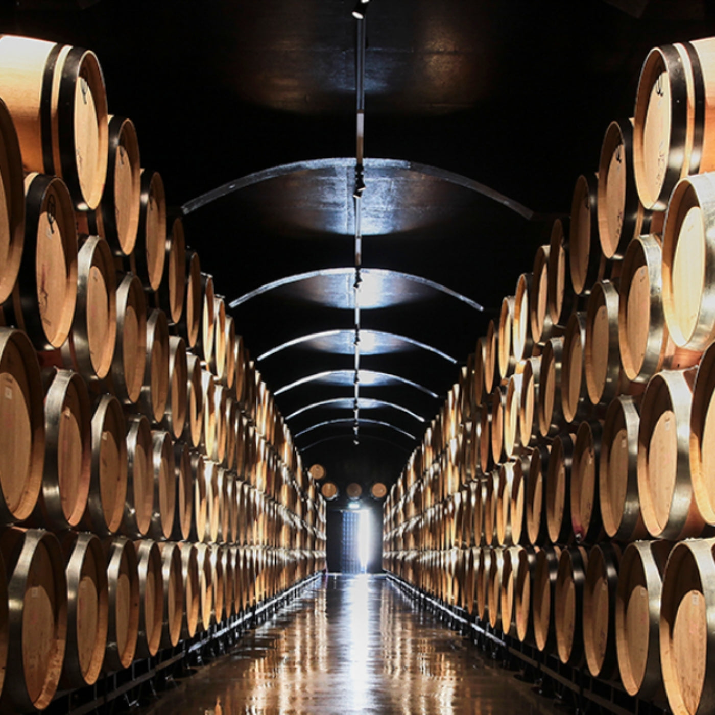 Blick in den Weinkeller des Weingutes Quinta do Crasto am Douro in Portugal. Langer Gang mit Weinfässern rechts und links.