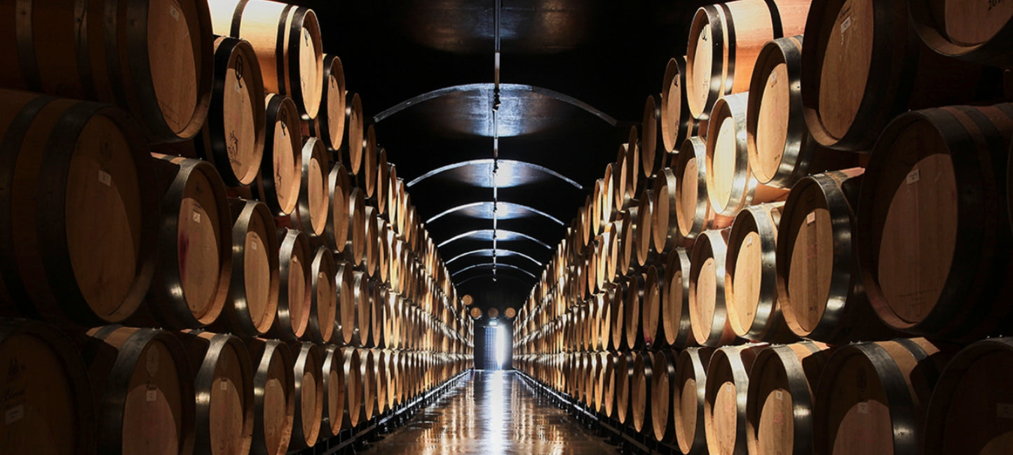 Blick in den Weinkeller des Weingutes Quinta do Crasto am Douro in Portugal. Langer Gang mit Weinfässern rechts und links.