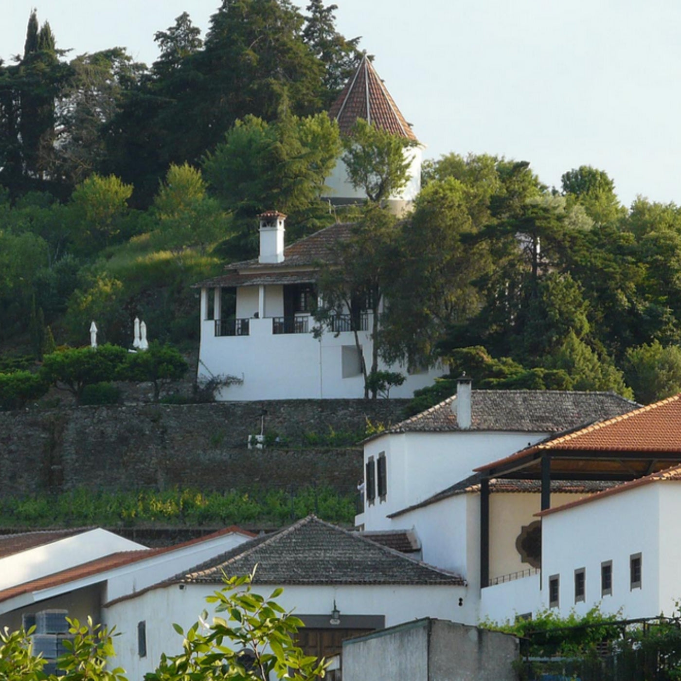 Blick auf das Weingut Quinta do Crasto am Douro in Portugal. Weiße Gebäude umgeben von Bäumen.
