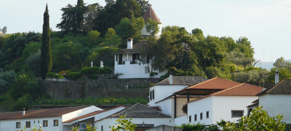 Blick auf das Weingut Quinta do Crasto am Douro in Portugal. Weiße Gebäude umgeben von Bäumen.