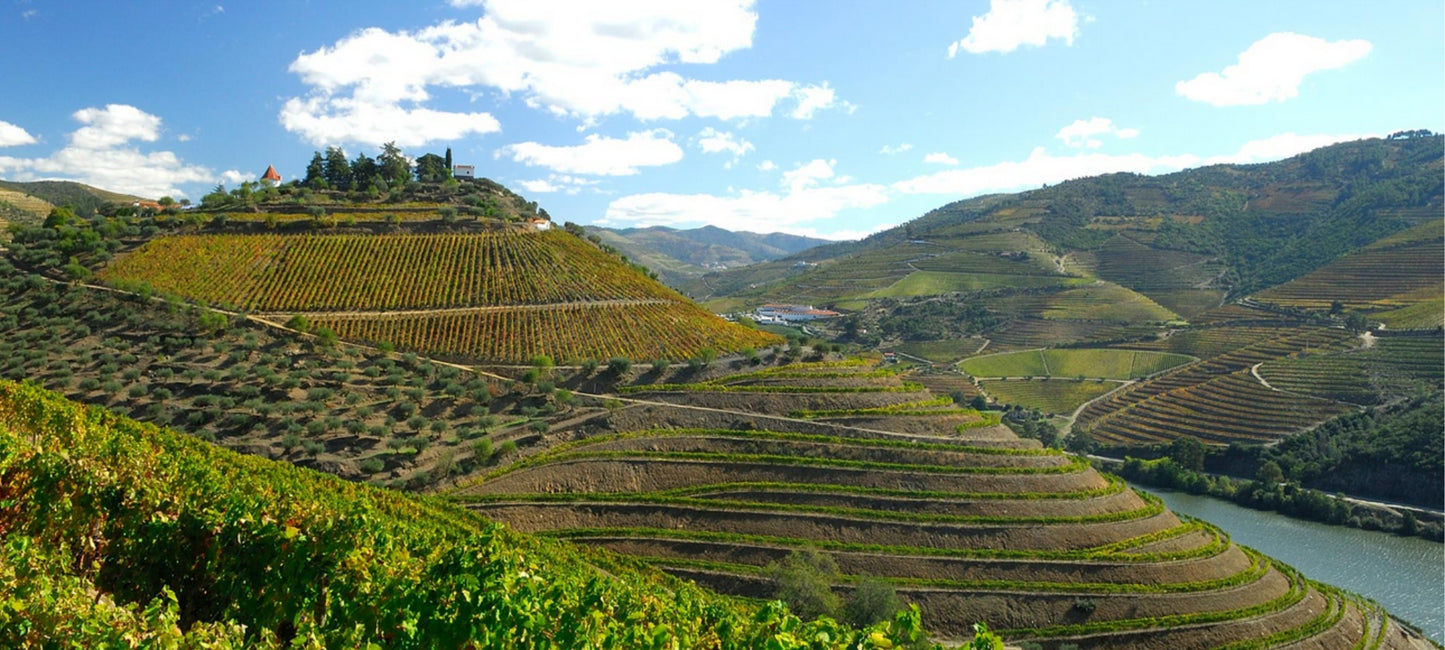 Blick auf die Quinta do Crasto am Douro in Portugal. Blick von oben auf das Weingut, umgeben von Weinbergen.