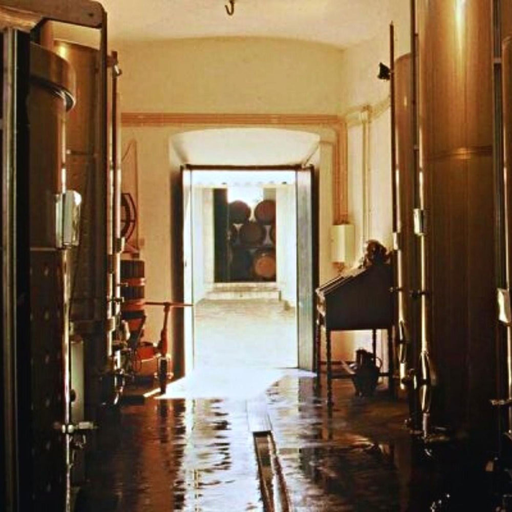 Weingut Quinta do Mouro in Portugal. Blick in eine Halle mit Weintanks.