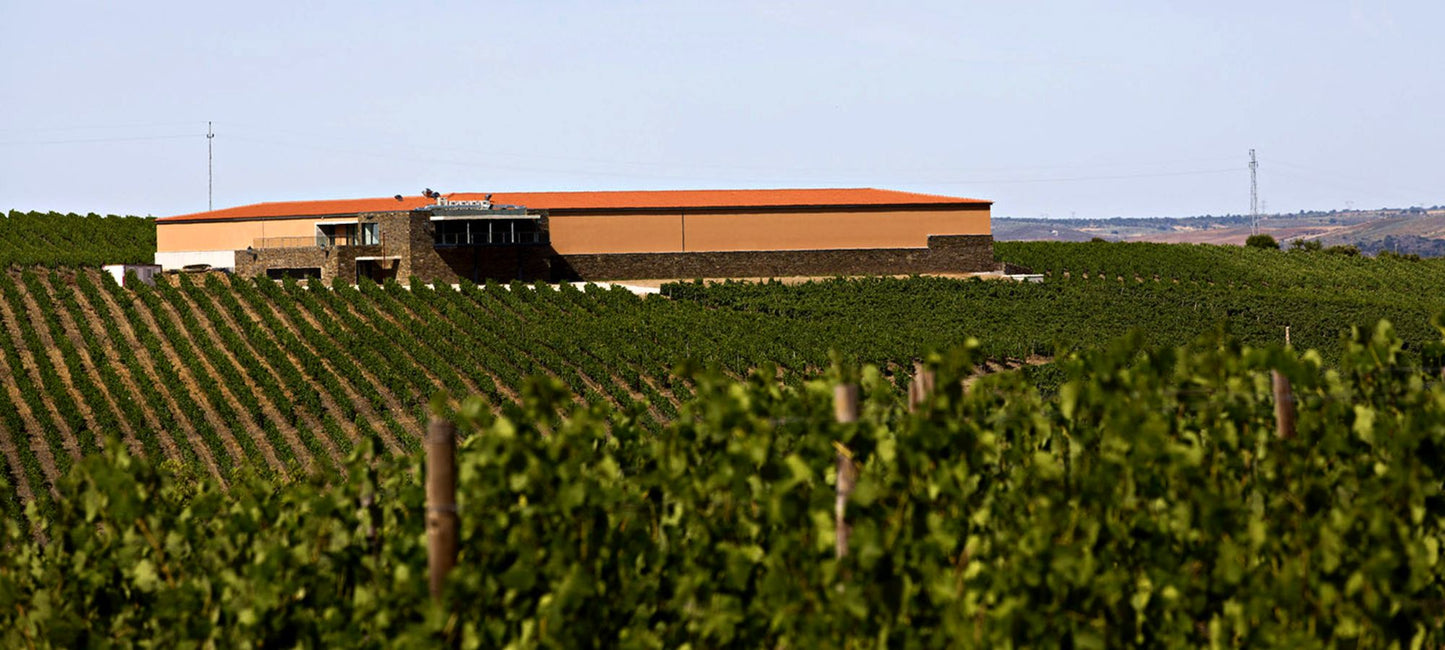 Blick auf die Weinberge und das Gebäude der Quinta dos Quinta dos Castelares in der Douro-Region / Portugal.