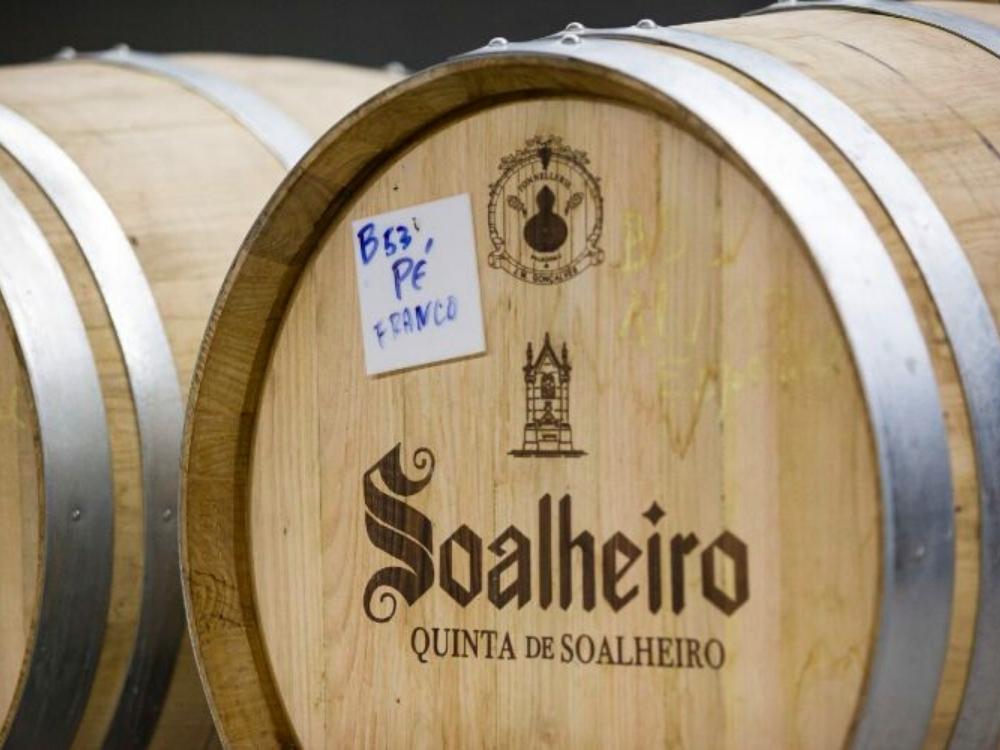 Blick auf Holzfässer für Wein des Weingutes Quinta da Soalheiro in der Region Vinho Verde, Mino, Lima Tal / Portugal. 