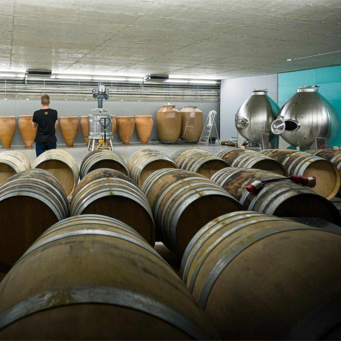 Blick in den Weinkeller des Weingutes Quinta da Soalheiro in der Region Vinho Verde, Mino, Lima Tal / Portugal. 