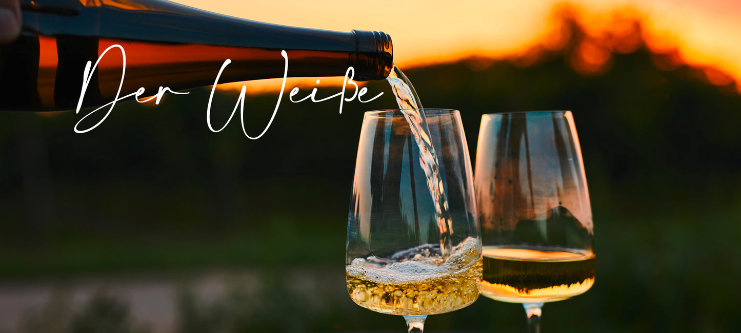 Weißweine aus Portugal in der Vinho Bar in Wuppertal kaufen. Bild mit gefüllten Weißweingläsern in der Natur mit einem Sonnenuntergang im Hintergrund.